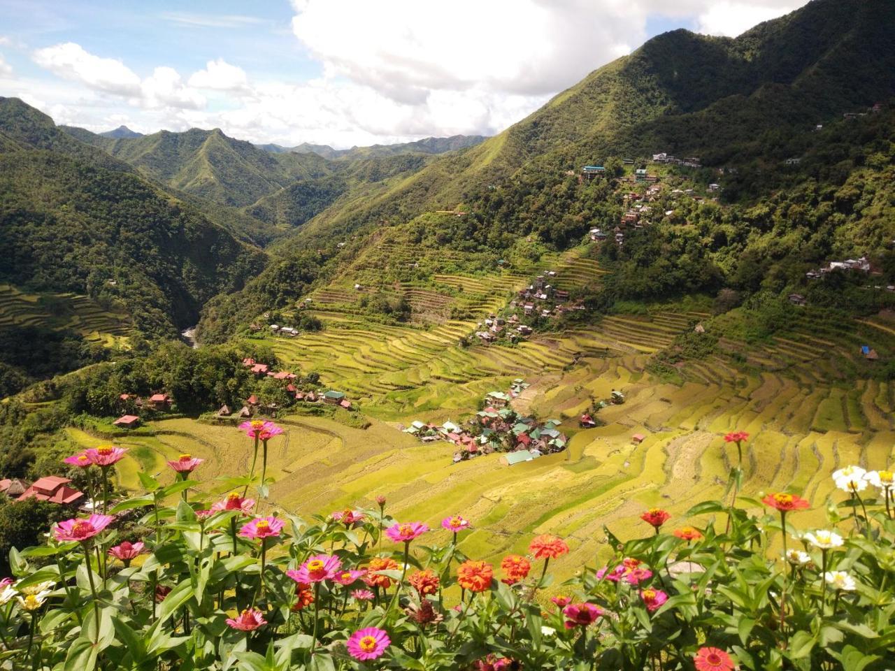 Batad View Inn And Restaurant Banaue Eksteriør bilde